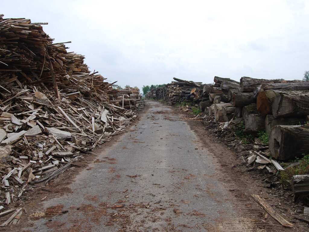 Privilégier le zéro déchets et valoriser le bois à 100%, c’est préserver notre planète