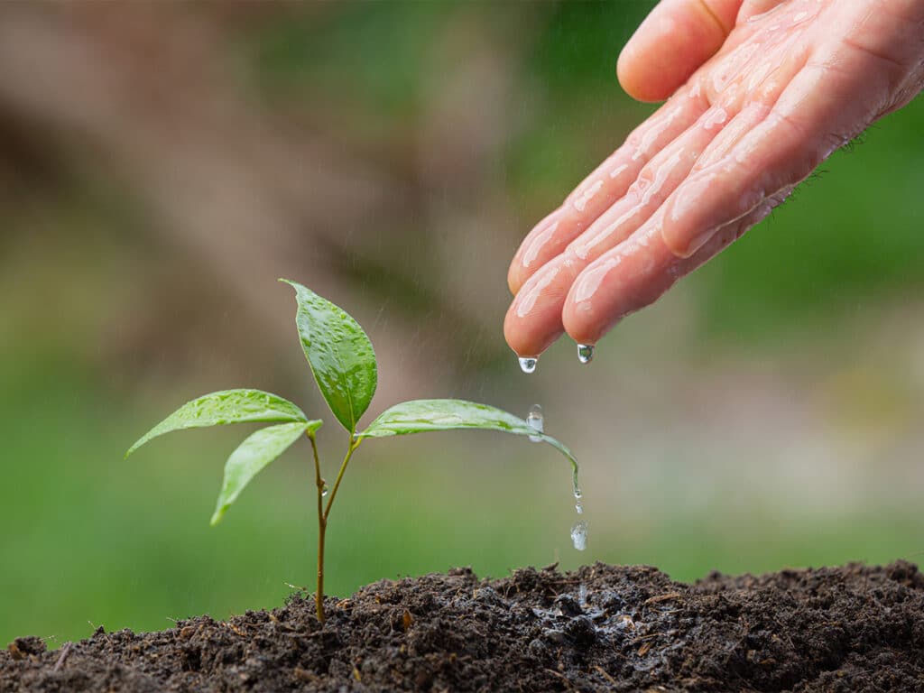 Tout pour la croissance et la floraison