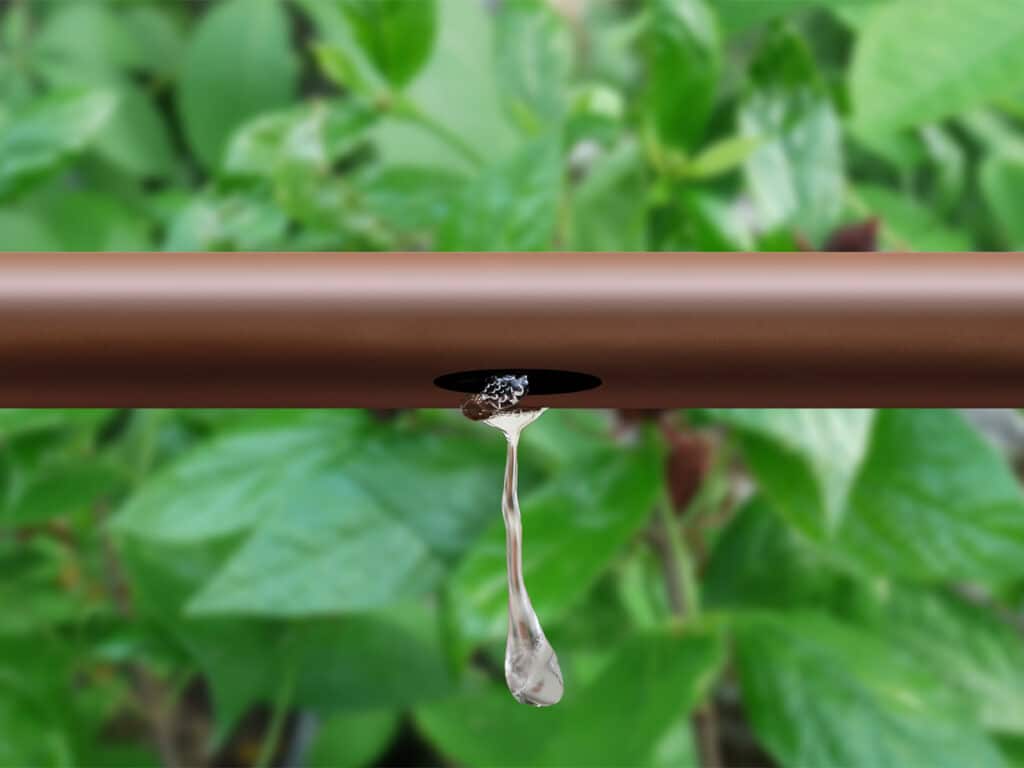 Un spécialiste de l’irrigation propose une gestion innovante de l’eau