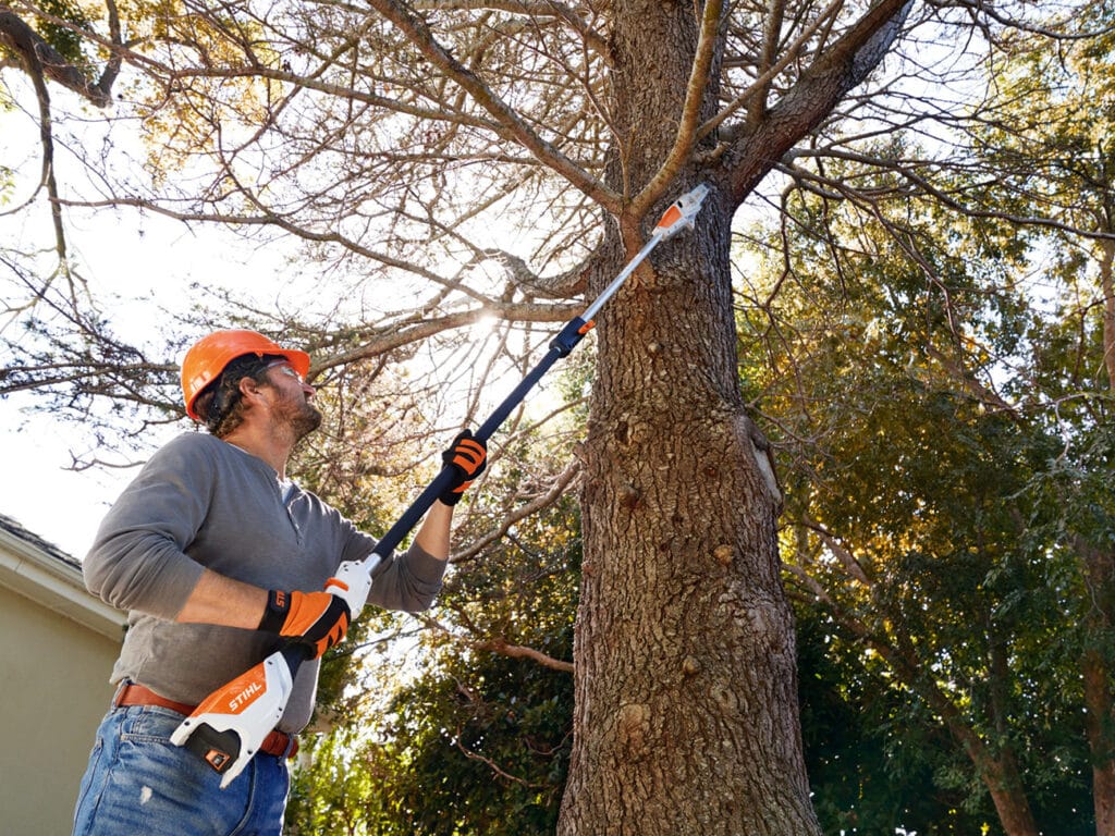 Élaguer en hauteur avec précision