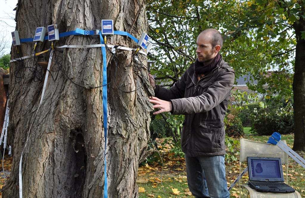 Reconnecter nos villes à la nature