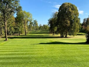 GreenPro-1-(0)