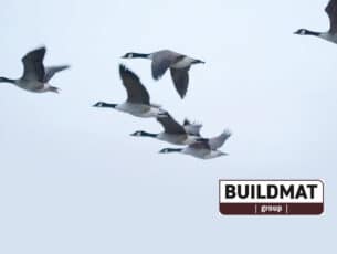Buildmat group
