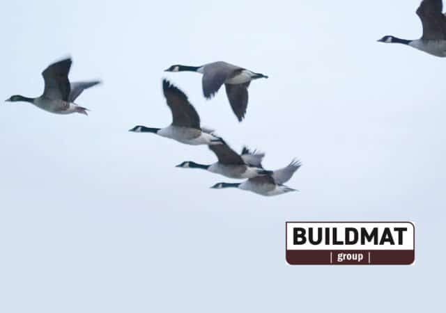 Buildmat group