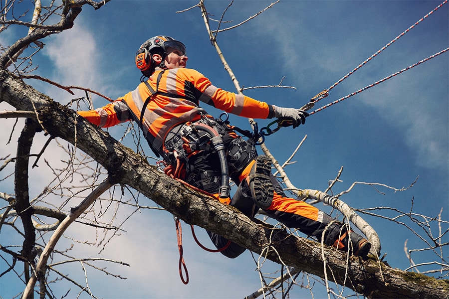 DU MATÉRIEL D’ESCALADE CONFORTABLE, EFFICACE ET SÛR, ADAPTÉ À TOUS LES ARBORICULTEURS