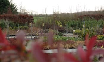 La (re)découverte de la nature mobilise tous les acteurs 6