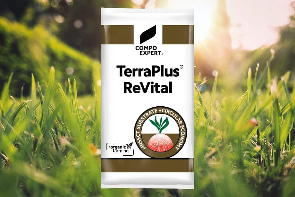 Un sol sain pour des plantes et des clients heureux