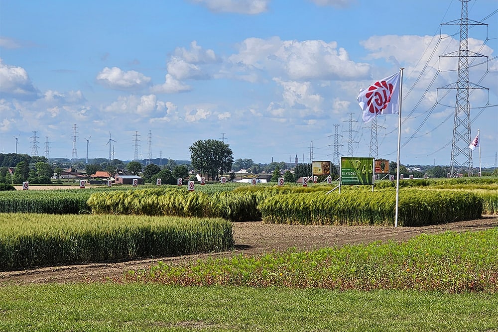 Climat, gestion des mauvaises herbes… tout change !