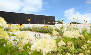 UN PEU DE NATURE EN VILLE 4