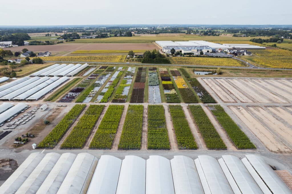 GrootGroenPlus : le rendez-vous horticole incontournable 2
