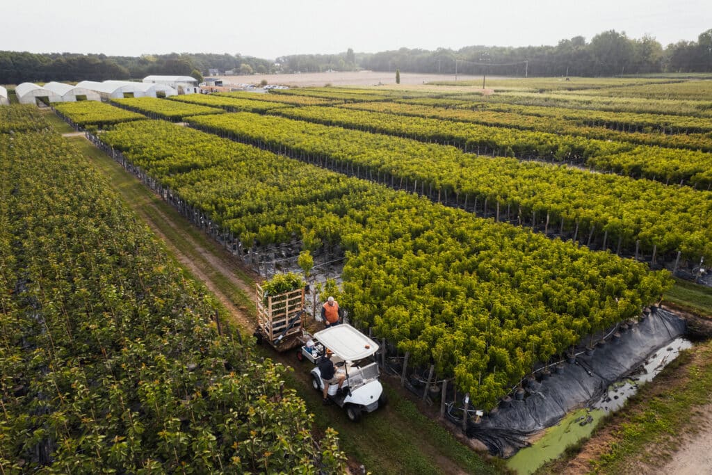 GrootGroenPlus : le rendez-vous horticole incontournable 1