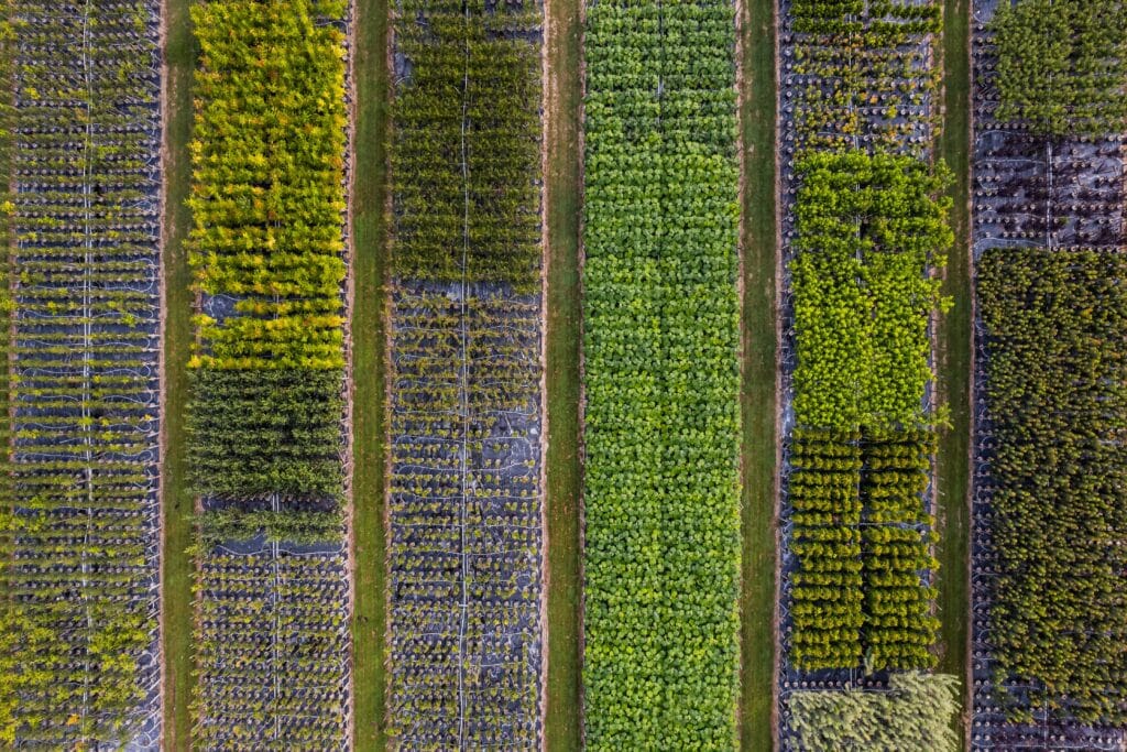 GrootGroenPlus : le rendez-vous horticole incontournable