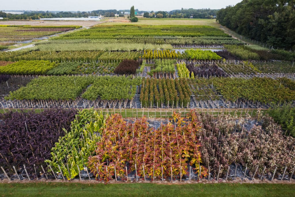 GrootGroenPlus : le rendez-vous horticole incontournable 3