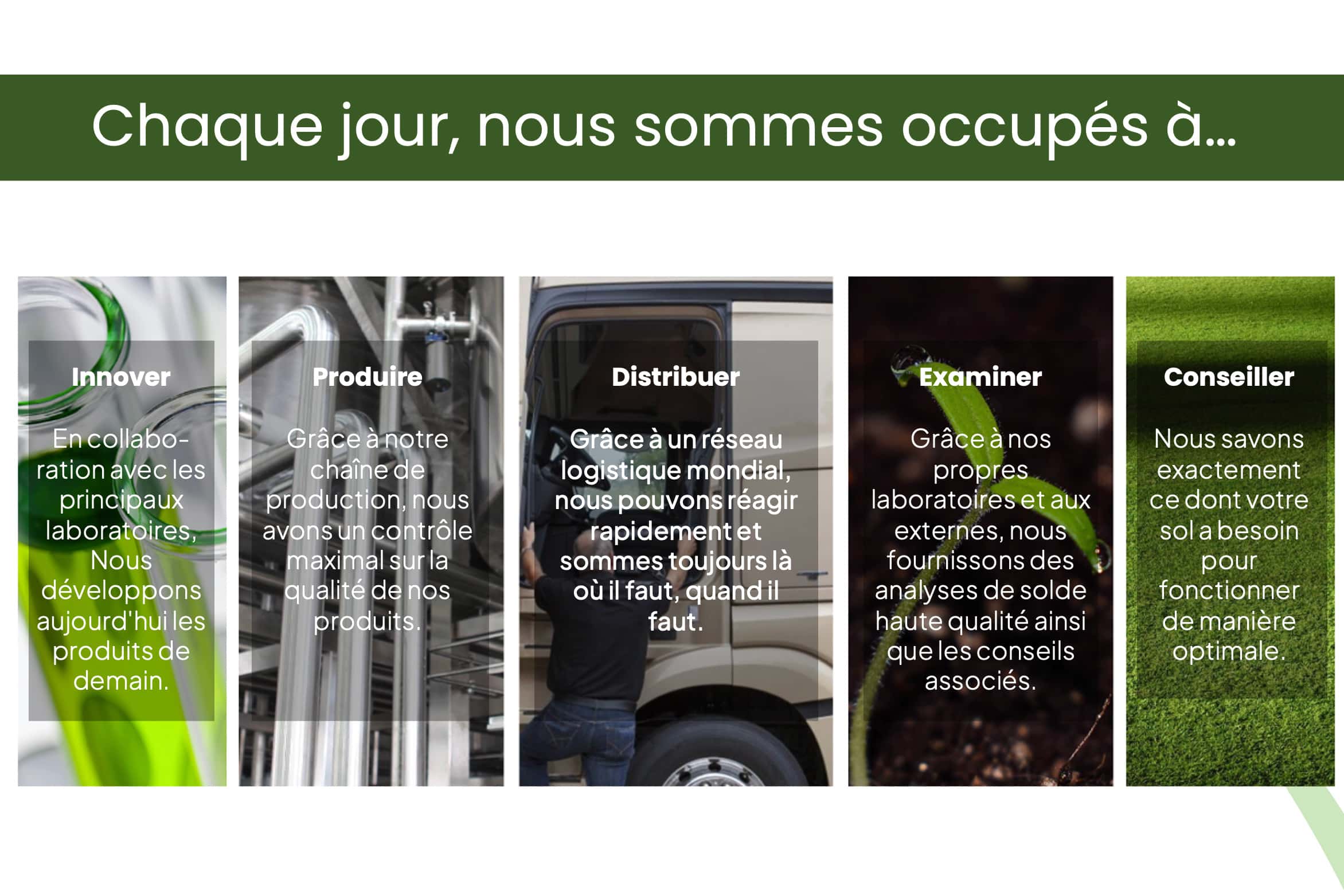 Des nutriments haut de gamme pour une pelouse en pleine forme 6