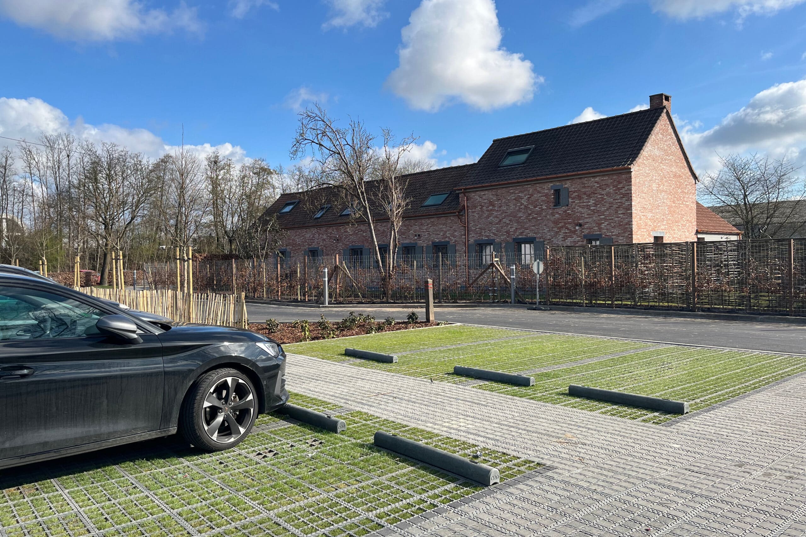 Réinventer les sols urbains : deux solutions végétalisées se démarquent par leur adaptabilité 1