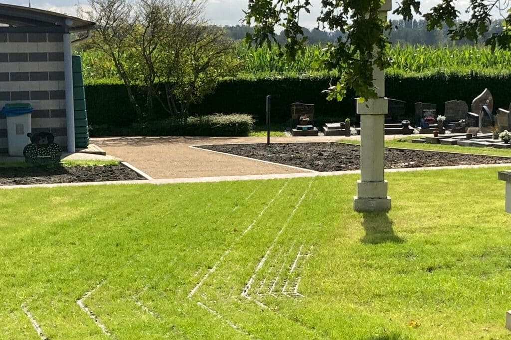 Réinventer les sols urbains : deux solutions végétalisées se démarquent par leur adaptabilité 1