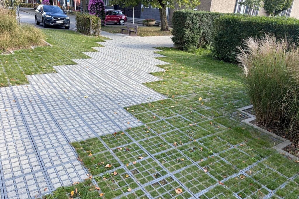 Réinventer les sols urbains : deux solutions végétalisées se démarquent par leur adaptabilité 2