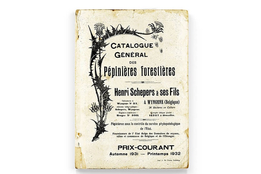 Une pépinière qui respecte la nature 1