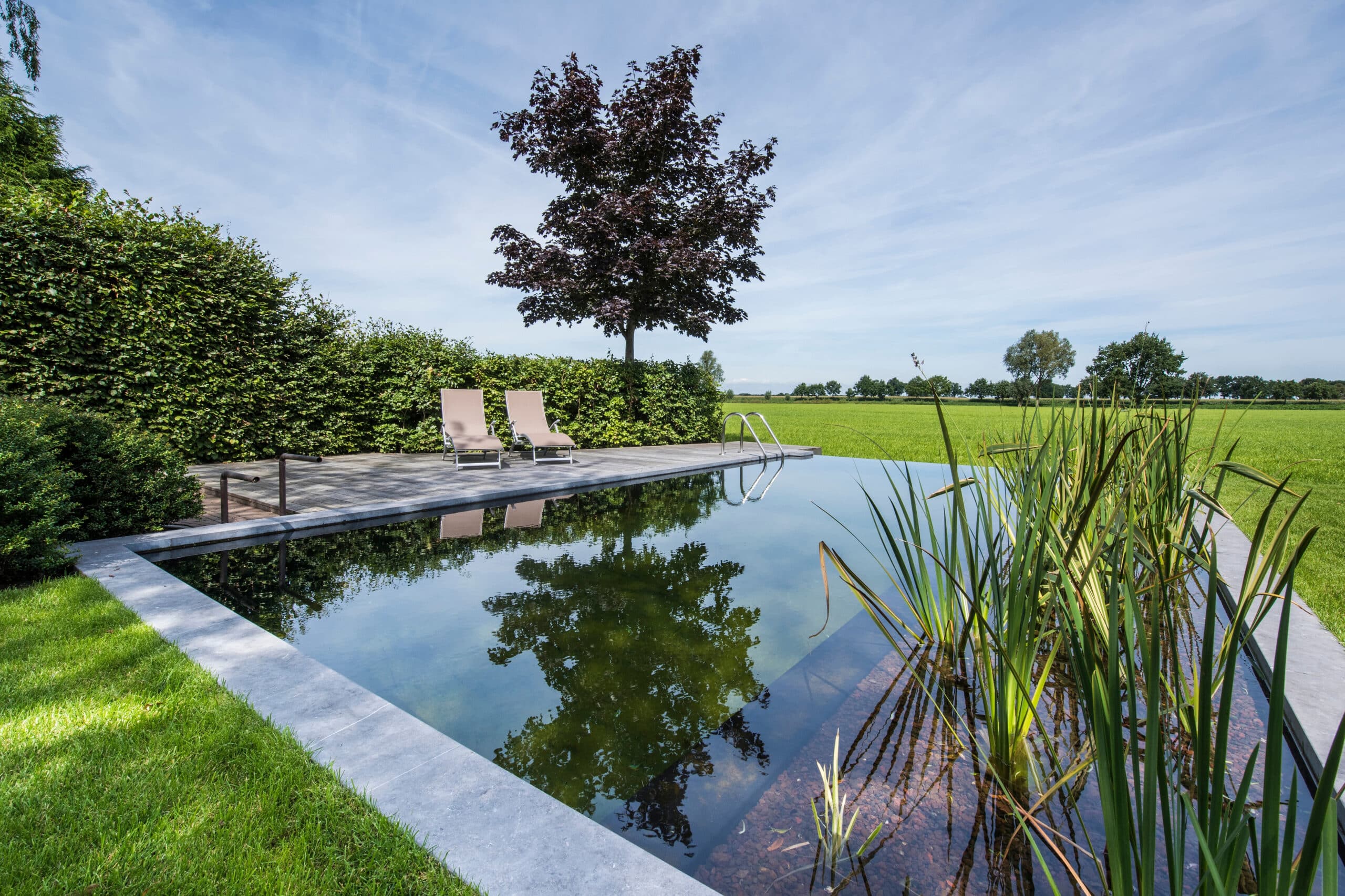 Membranes EPDM pour projets de bassins et étangs de baignade : esthétique, durabilité et personnalisation vont de pair 7