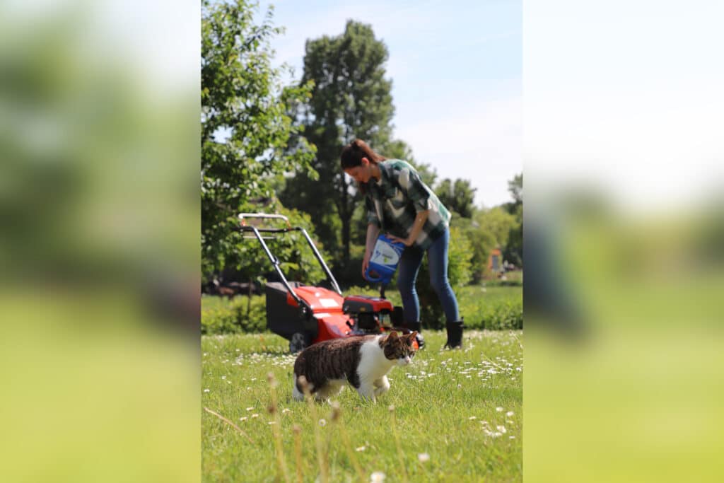 Batterie ou carburant ? Voici comment travailler de manière plus propre avec vos machines actuelles 1