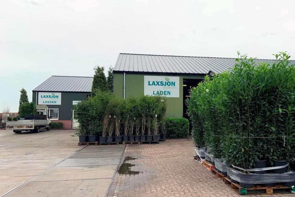 GrootGroenPlus 2026 : Laxsjon mise sur les plantes autochtones 3