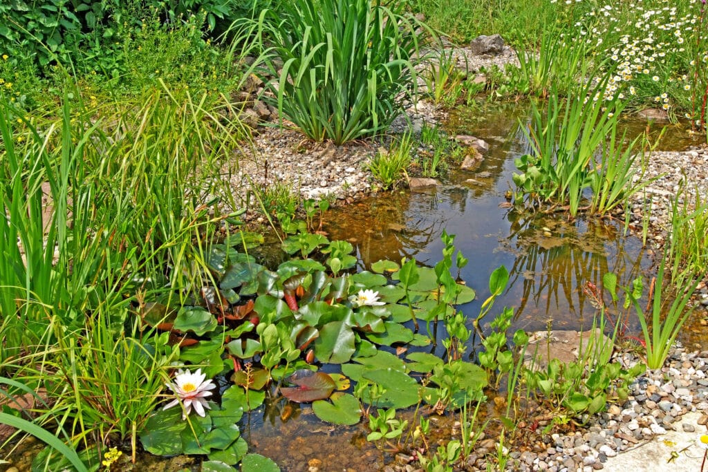 Un ensemble de bassins est idéal 3