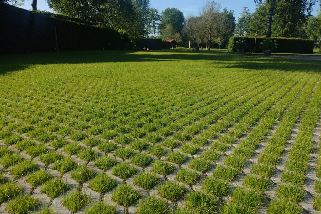 Soin du sol et fertilisation pour la gestion professionnelle des espaces verts 3