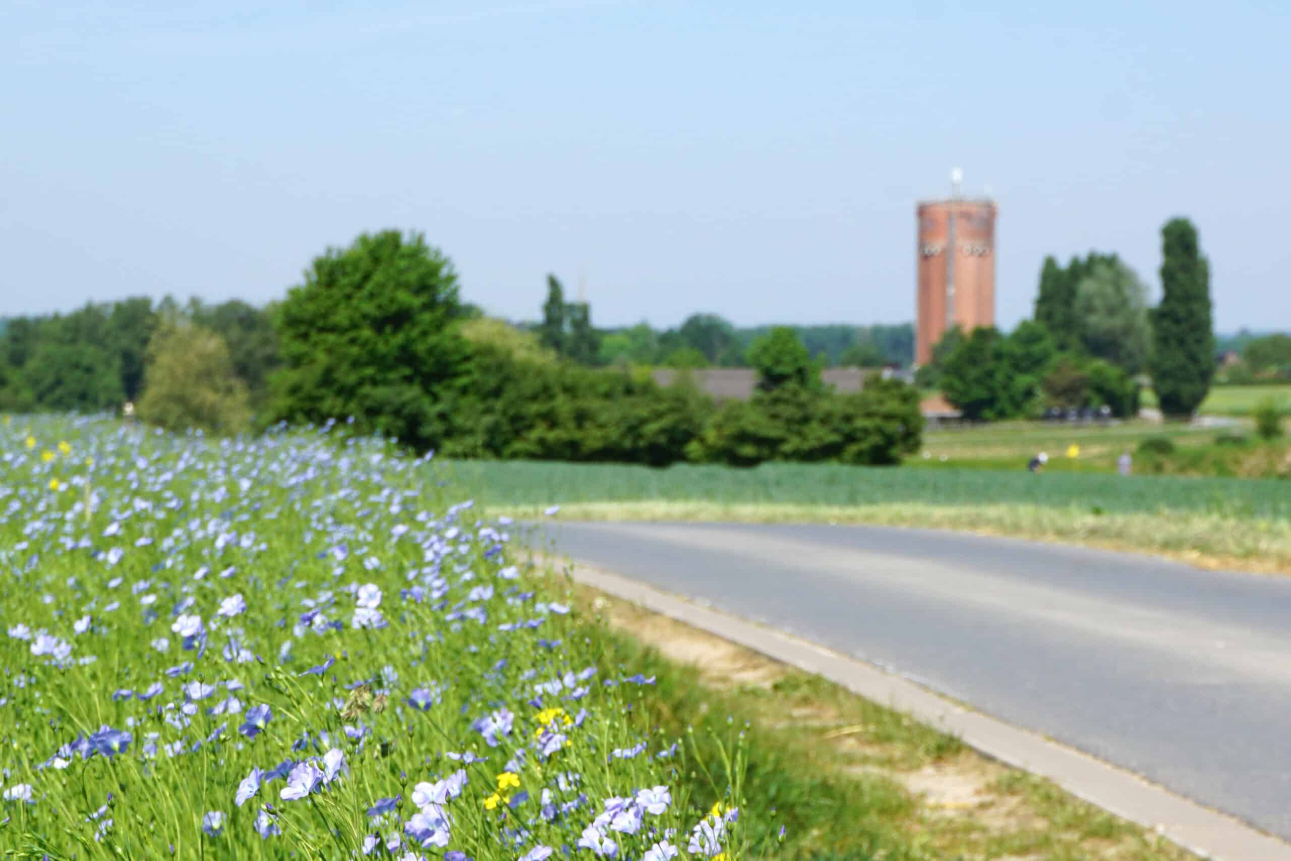 Villers-la-Ville : un territoire où nature et patrimoine se rencontrent 4