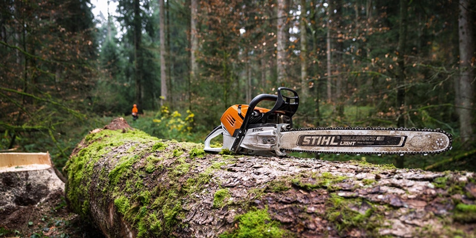 STIHL MS 500i kettingzaag is algemene winnaar Gouden Buxus op Agribex 2019