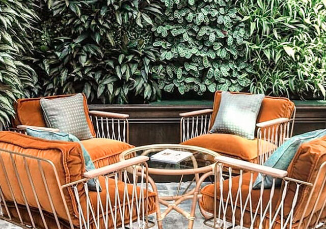 brown-wooden-armchairs-and-green-plants-4062604-kopieren