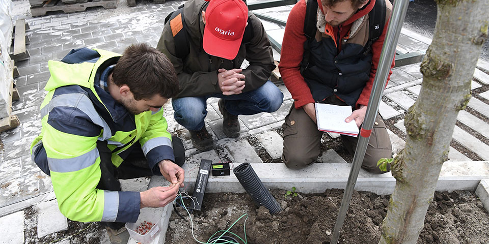 Brussel Mobiliteit zet in op slim gietsysteem voor bomen