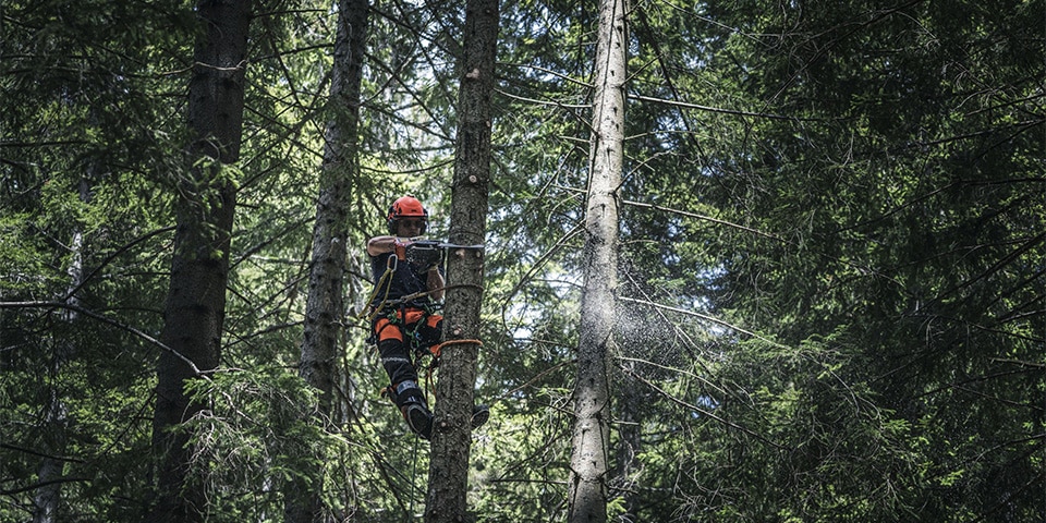 Accu kettingzagen verlichten werk van boomverzorgers