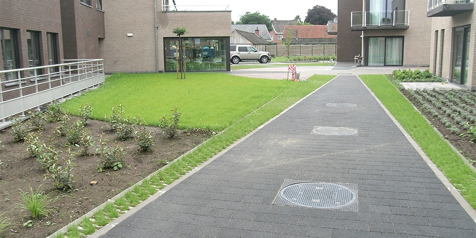 Grindklavergazon en bloemen voor meer biodiversiteit in openbare ruimtes