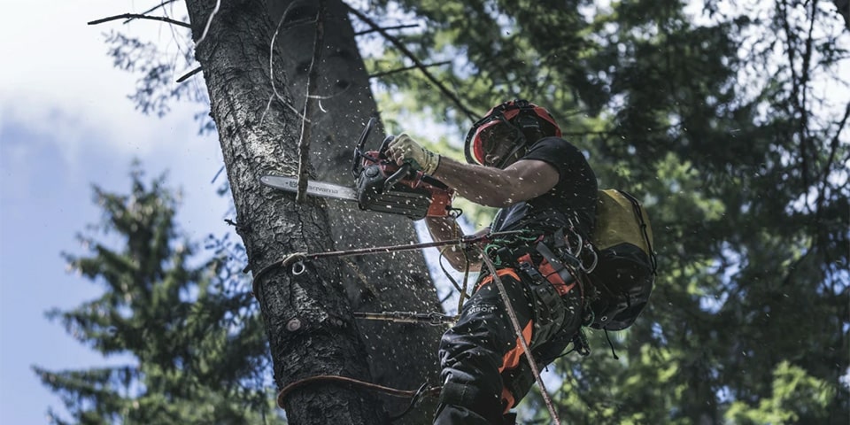 Husqvarna lanceert nieuwe accukettingzagen met spectaculaire prestaties