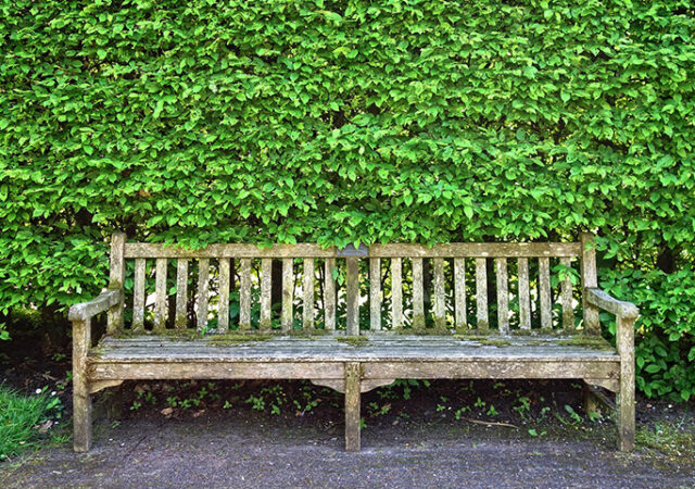 wooden-bench-3392273_1920-kopieren
