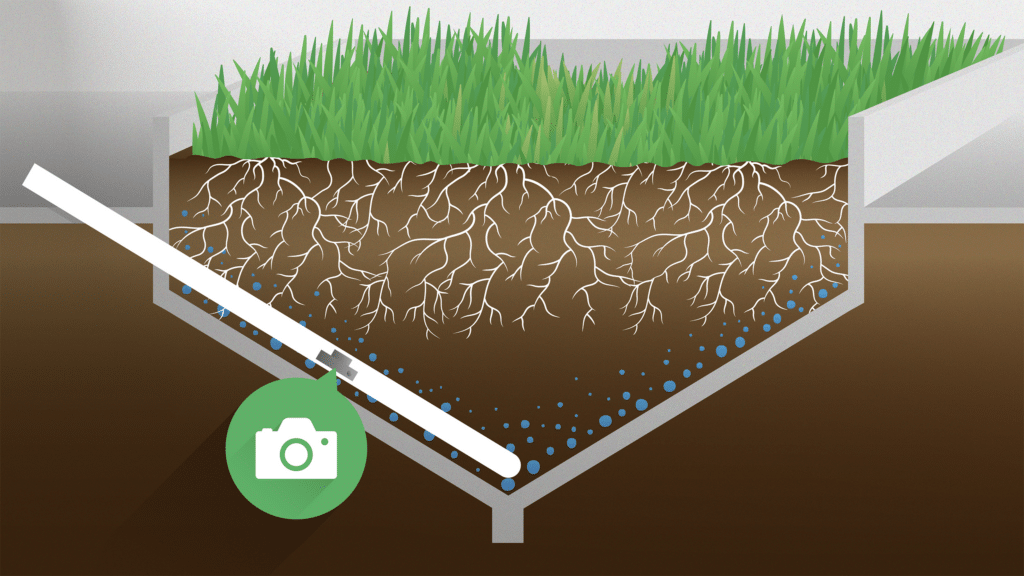 Nieuw onderzoek: Diepe wortels bestrijden droogte