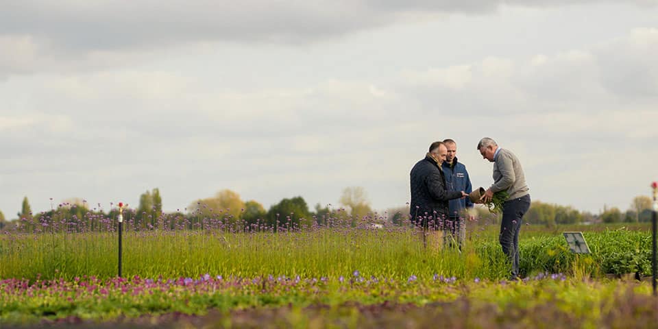 Prestigieus landschapsproject met bio-afbreekbare potten