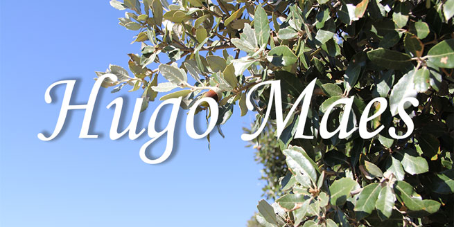 hugo
