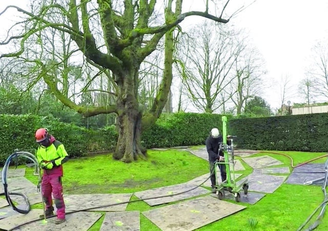 Drainjet behandelen bomen in de kroonprojectie kopiëren