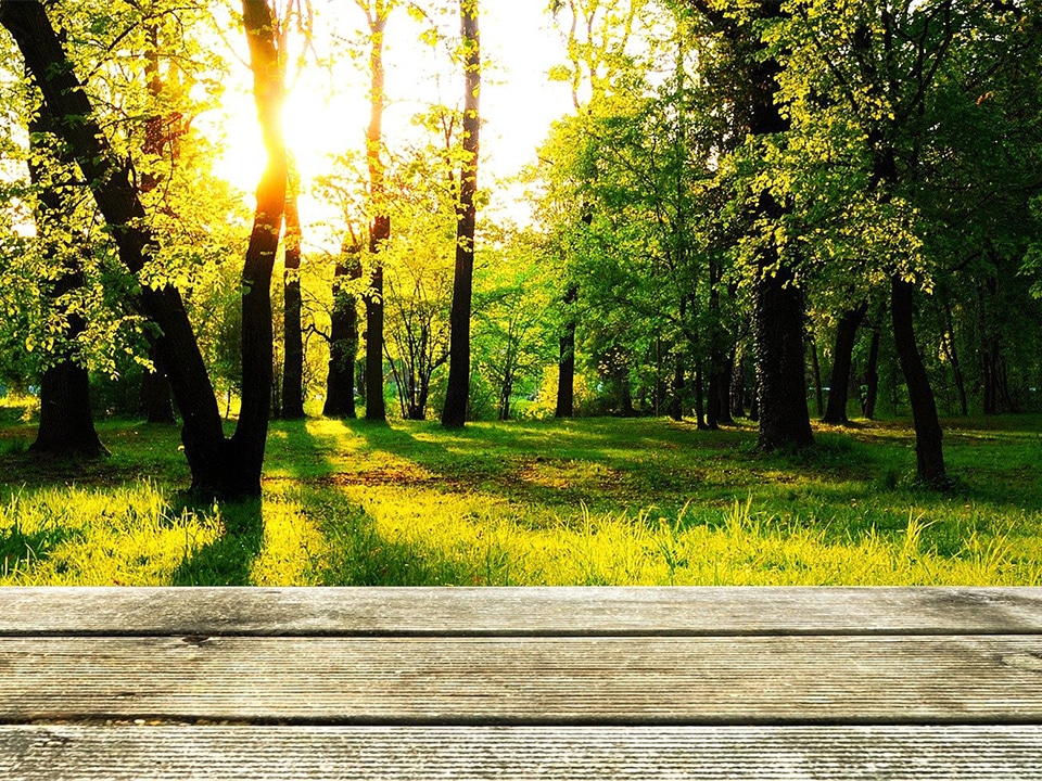 background-909387_1920 kopiëren