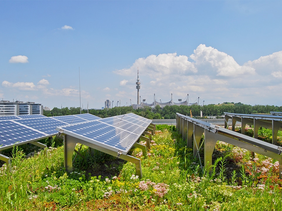 Voordelig voor natuur én rendement van installatie  – Zonnepanelen op groendaken