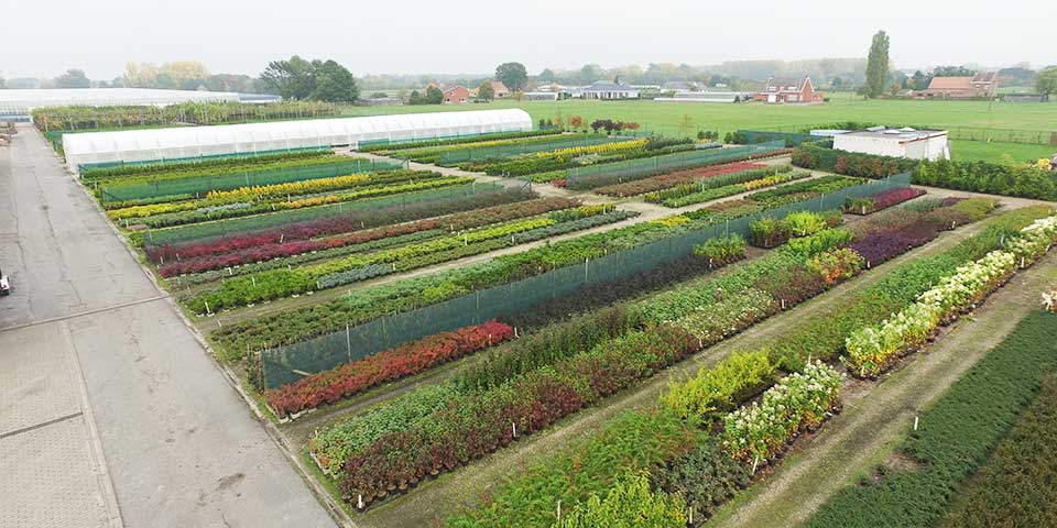 Bijna 190 jaar ervaring verzameld op 45 hectare. Ruim tweeduizend soorten groen bijeen