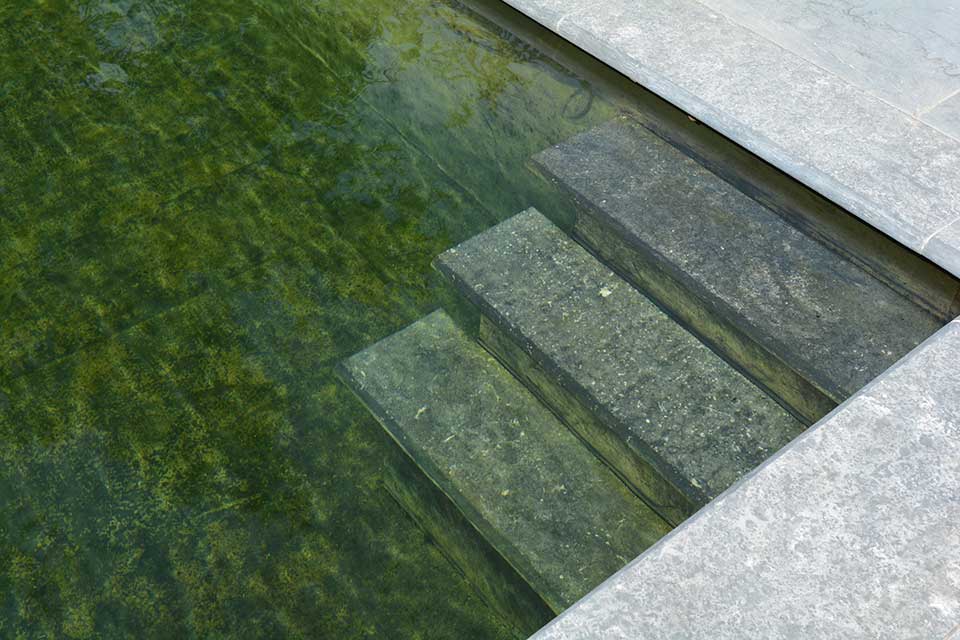 Topafwerking voor zwembad en tuinvijver