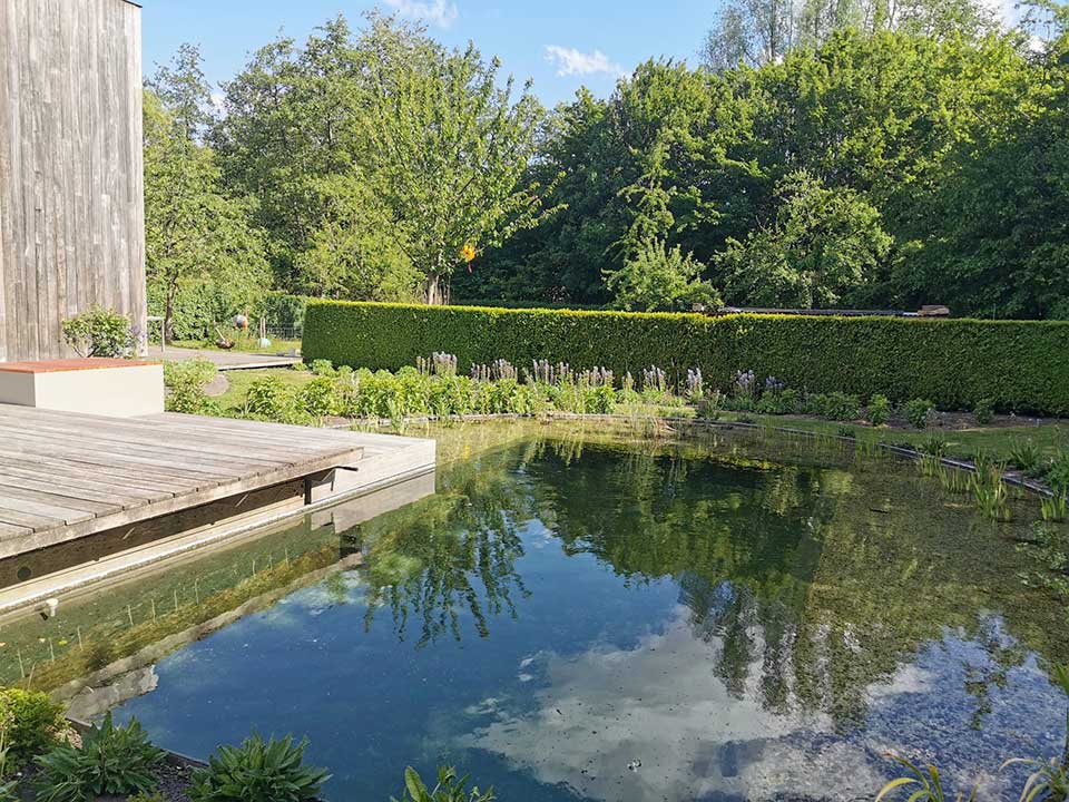 Opmerkelijke zwemvijver gaat op in beplanting. In het rond