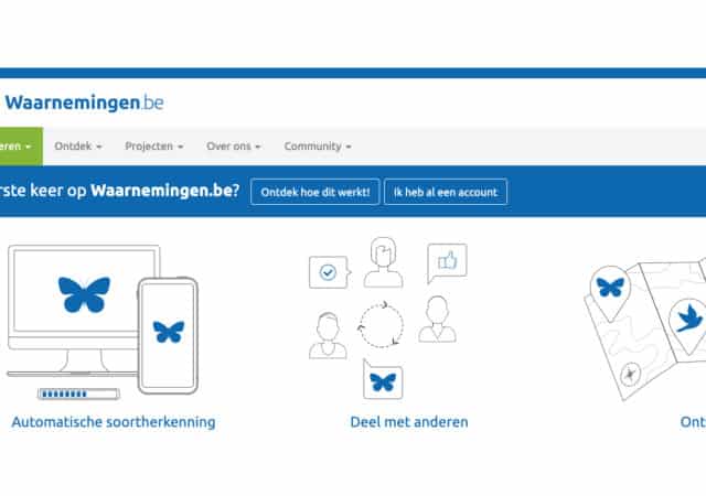 waarnemingen