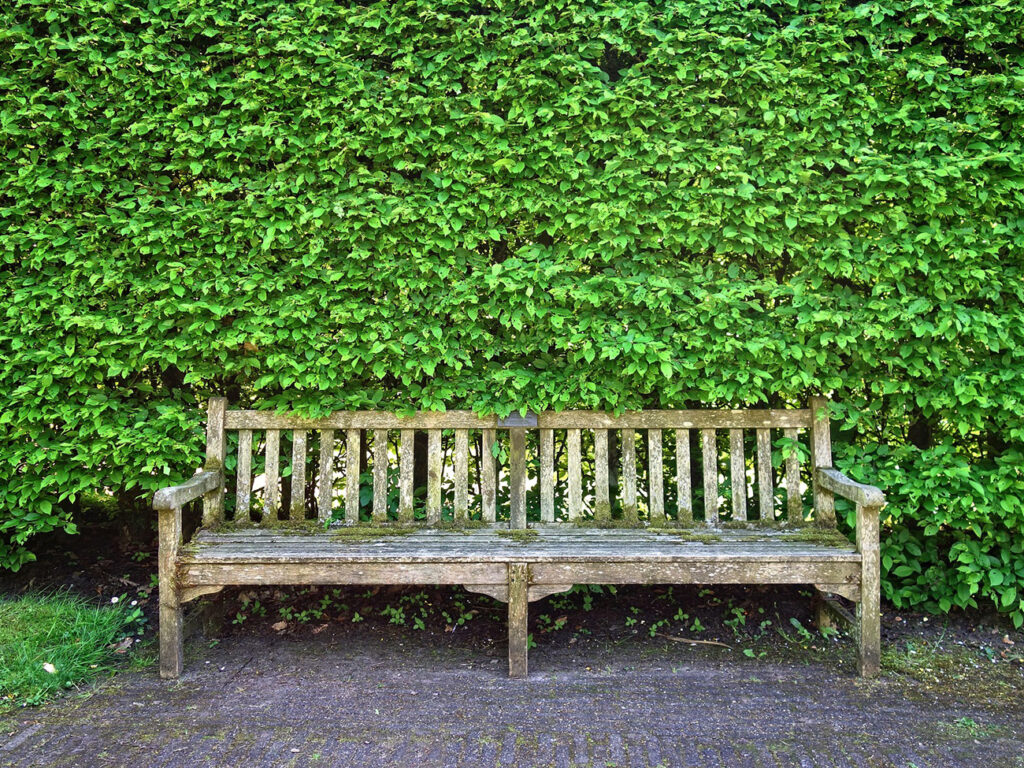 wooden-bench-3392273_1920