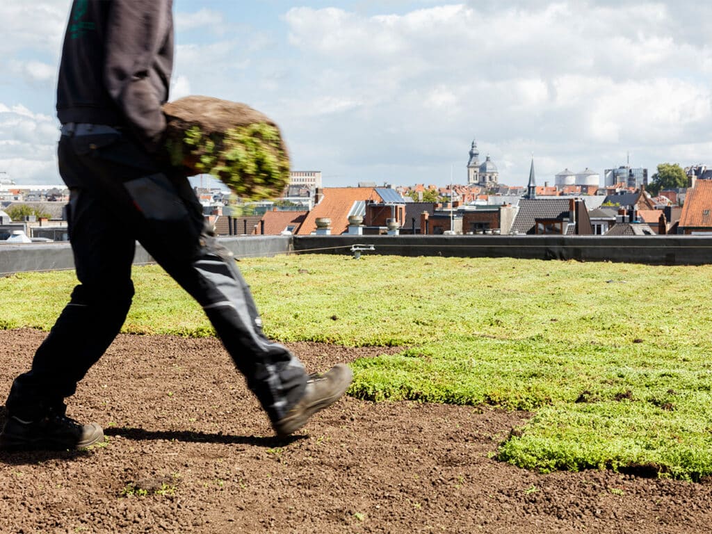 Innovatie als basis voor duurzame daktuinsubstraten 