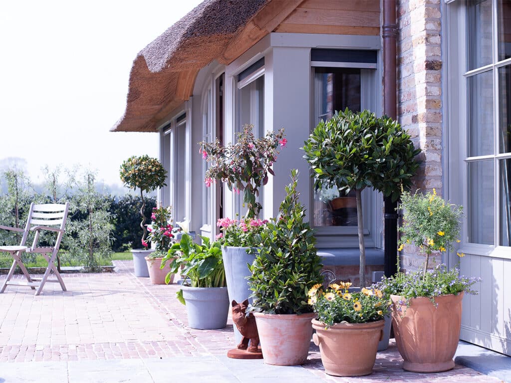 Laurier in pot geeft flexibiliteit aan elk tuinproject