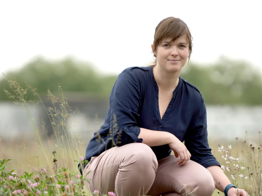 Kwaliteitsvolle groene daken in de stad: een verhaal van inspiratie en sensibilisering