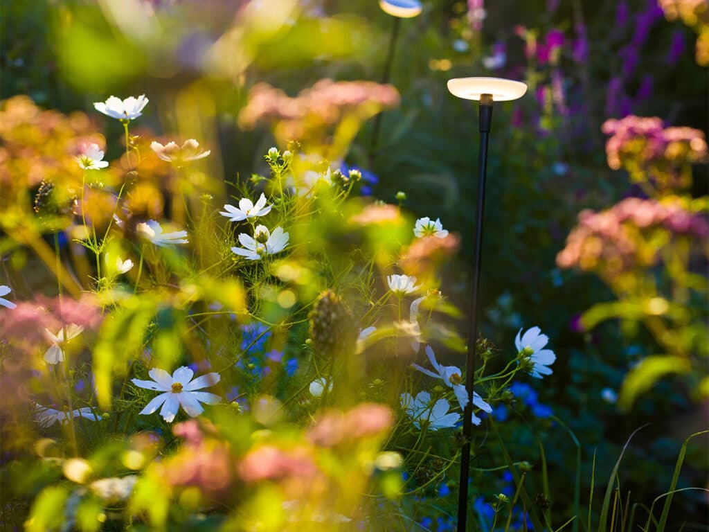 De meerwaarde van een dag- en nachttuin